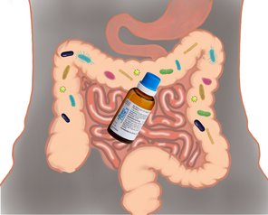 Eine Abbildung vom Darm und einer Flasche Symbiolfor® 2